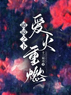 破镜之下，爱火重燃