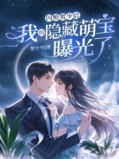 闪婚贺少后，我的隐藏萌宝曝光了
